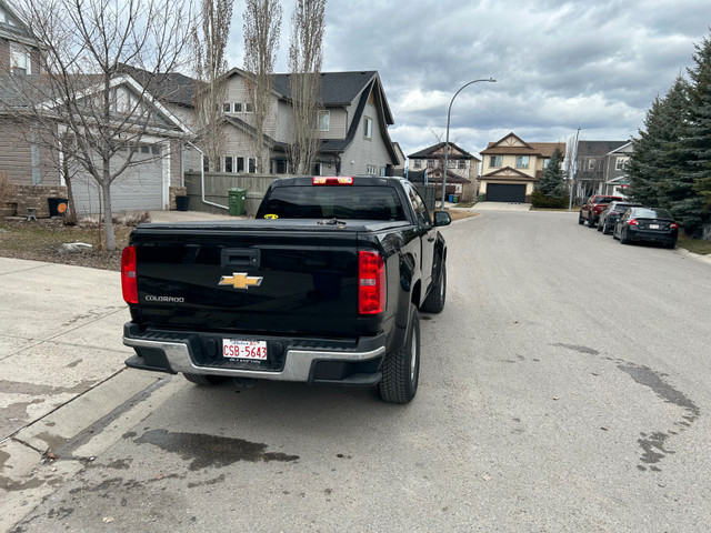 2019 Chevrolet Colorado WT in Cars & Trucks in Calgary - Image 2