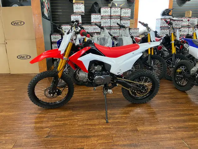 2024 BRAND NEW 110 cc ($1199.00),  125 cc ($1399.00), 150 cc ($1 in Other in Brandon - Image 8