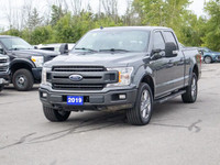 The 2019 Ford F-150 is a full-size pickup that delivers serious capability, a wide range of powertra... (image 3)