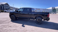 Four Wheel Drive. Leather Interior. 14.4 Inch Touchscreen. Bluetooth. Apple CarPlay/Android Auto. Re... (image 6)