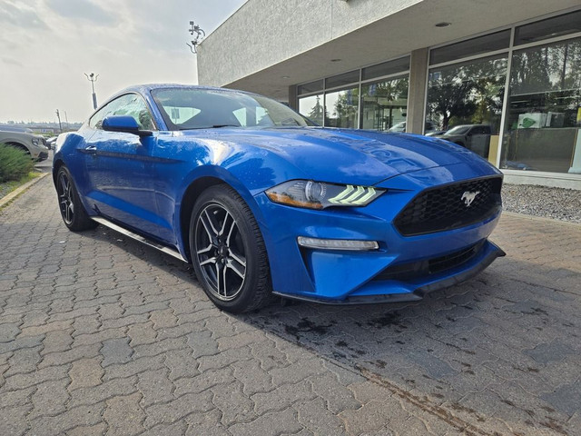 2019 Ford Mustang ECOBOOST | HTD LTH SEATS | REV CAM in Cars & Trucks in Calgary - Image 2