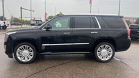 Check out this vehicle's pictures, features, options and specs, and let us know if you have any ques... (image 1)