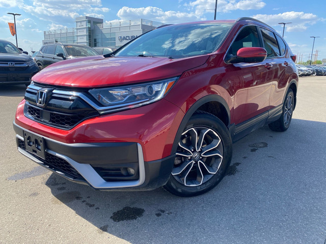 2020 Honda CR-V EX-L LIMITED TIME TRIP FOR 2 TO VEGAS WITH PU... in Cars & Trucks in Saskatoon - Image 4