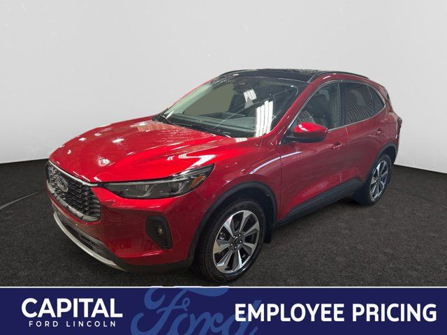 2025 Ford Escape Platinum in Cars & Trucks in Regina
