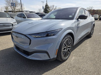Employee Pricing on now! You pay what we pay on every New and Used Vehicle at Maclin Ford - Calgarys... (image 2)