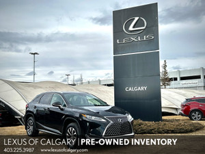 2021 Lexus RX Other