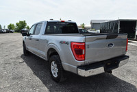 2023 FORD F-150 XLT – 6.5' BOX CLEAN CARFAX | LIKE NEW | 5.0L V8 | READY TO WORK OR PLAY Available n... (image 4)