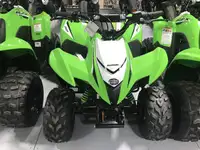 2023 Kawasaki KFX50 50