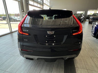350t Premium Luxury 2023 Cadillac XT4 Premium Luxury 350t Engine: Turbocharged Gas I4 2.0L/122 Other... (image 7)