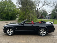 Experience the perfect blend of performance and bold design with this 2009 Ford Mustang GT Convertib... (image 2)