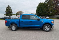 2021 Ford F-150 XLT XLT | 2.7L | Clean Carfax Velocity Blue Metallic 2.7L V6 EcoBoost 4WD 10-Speed A... (image 8)