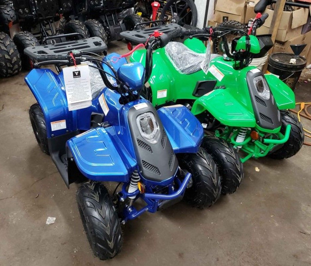 2023 BRAND NEW 110 TAOTAO ROCK 110 KIDS ATV 110 cc QUAD - SALE P in ATVs in Brandon - Image 3