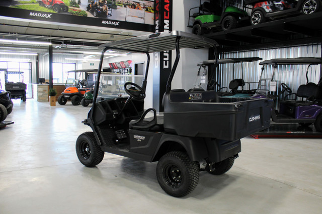 2024 Cushman HAULER 800X - Gas EFI Golf Cart in Travel Trailers & Campers in Trenton - Image 3