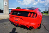 SAFETY INCLUDED LOCAL ONTARIO CAR SERVICE REOCRDS Very Clean Ford Mustang Coupe 3.7L V6 with 6 Speed... (image 5)
