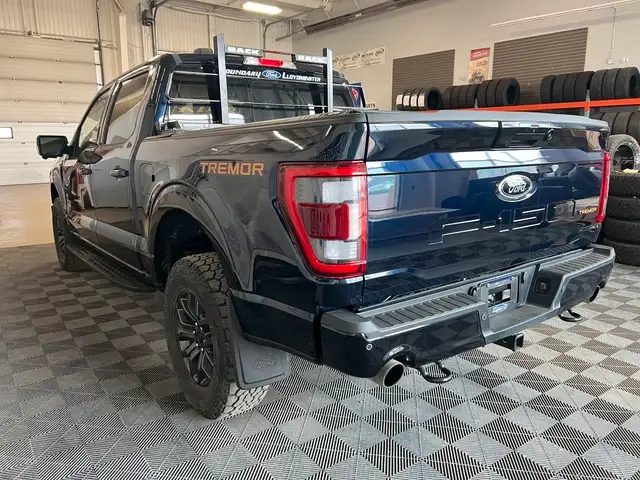 2023 Ford F-150 TREMOR 402A 3.5 V6 4X4 | PANO ROOF | B&O SOUND dans Autos et camions dans Lloydminster - Image 10