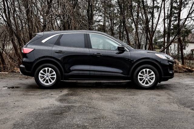 2021 Ford Escape SE AWD - Heated Seats - Android Auto in Cars & Trucks in Kingston - Image 2