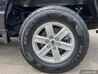 This Ford F-150 boasts a Regular Unleaded V6 3.5 L EcoBoost engine powering this Automatic transmiss... (image 7)