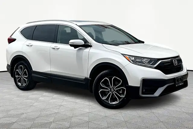 2020 Honda CR-V EX-L 4WD dans Autos et camions dans Région de Mississauga/Peel - Image 5