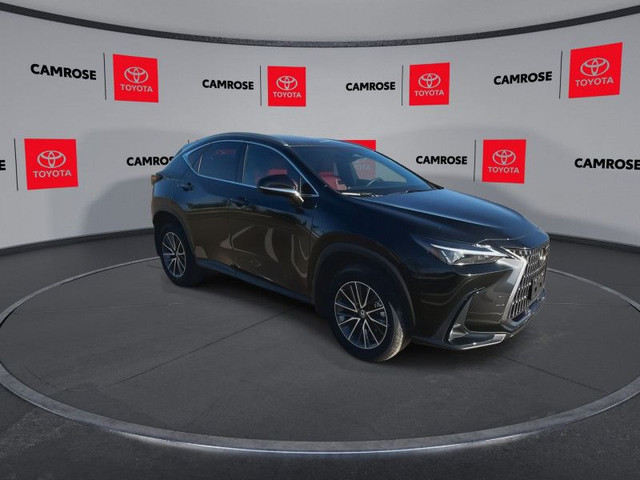 2024 Lexus NX 350 in Cars & Trucks in Edmonton - Image 2