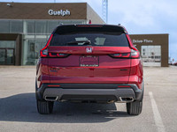 *Low Mileage! Heated Seats, Sunroof, Heated Steering Wheel, Lane Assist, Wireless Charging, Apple Ca... (image 4)