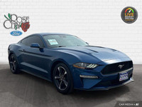 - ACCIDENT FREE - CLOTH SEATS - DUAL ZONE TEMP CONTROL - FORDPASS CONNECT - BLIND SPOT MONITOR - LAN... (image 7)