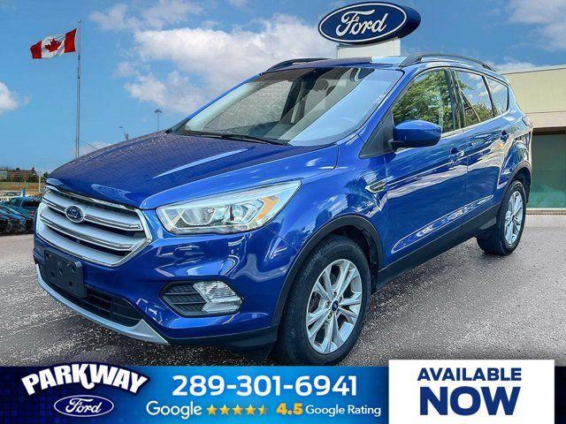 2019 Ford Escape SEL in Cars & Trucks in Kitchener / Waterloo