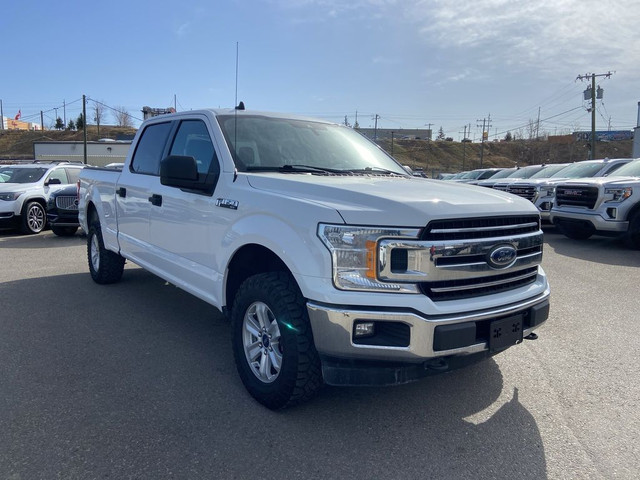 2019 Ford F-150 XLT 4WD SuperCrew 6.5' Box in Cars & Trucks in Calgary - Image 3