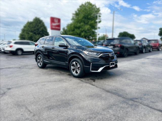 2020 Honda CR-V LX | Honda Certified | 1 Owner | No Accidents in Cars & Trucks in Hamilton - Image 3
