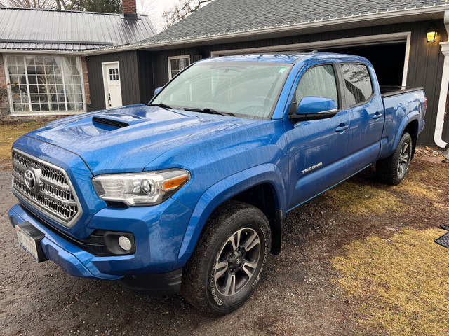 2017 Toyota Tacoma TRD Sport in Cars & Trucks in Kitchener / Waterloo - Image 2
