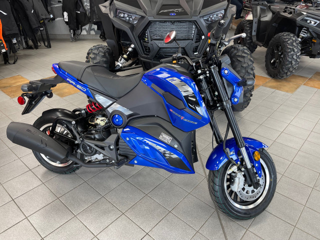 2022 SCOOTTERRE AR50 in Scooters & Pocket Bikes in Granby - Image 2