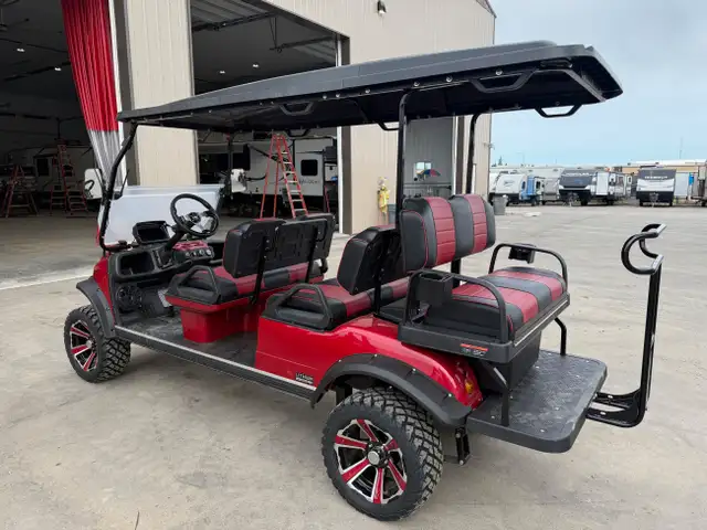 2025 HDK Golf Cart FORESTER 6+ RED in ATVs in St. Albert - Image 4