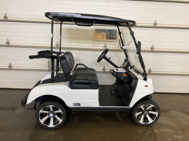 2024 HDK Express Classic 2 Plus Golf Cart in ATVs in Moose Jaw - Image 2