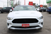 ONE OWNER No ACCIDENT Unleash the thrill of the open road with the 2019 Mustang GT 5.0L V8 Premium C... (image 1)