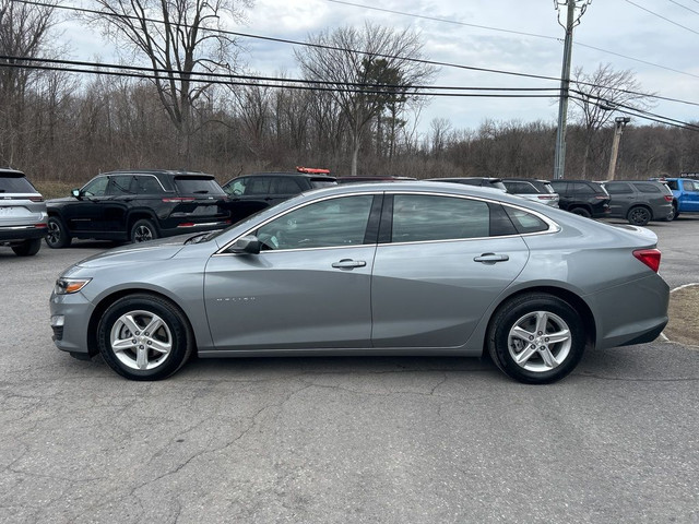 2024 Chevrolet Malibu LS in Cars & Trucks in Ottawa - Image 4