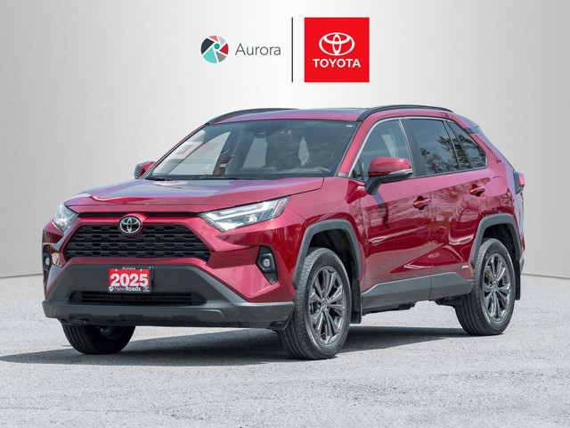 2025 Toyota RAV4 Hybrid XLE XLE Premium, Clean Carfax in Cars & Trucks in Markham / York Region