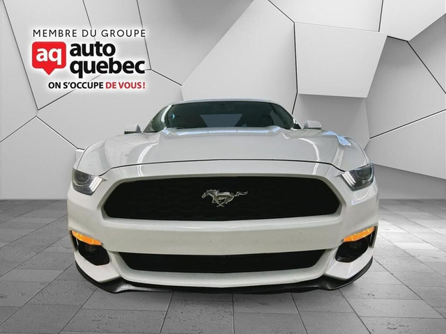 2016 Ford Mustang EcoBoost / Manuel / Banc Recaro / dans Autos et camions  à Thetford Mines - Image 2