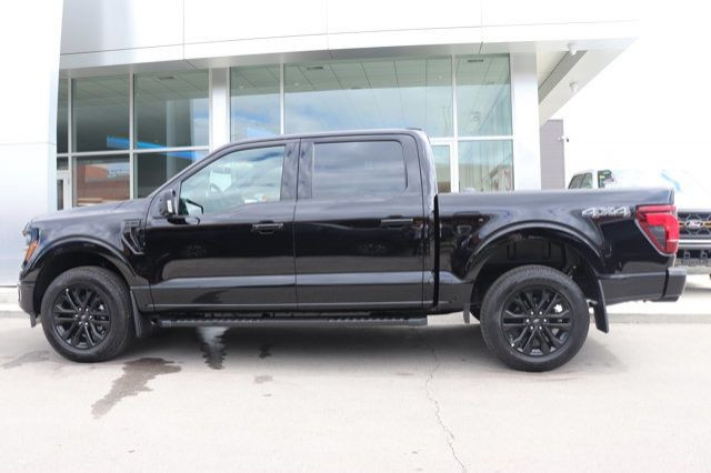 2025 Ford F-150 XLT in Cars & Trucks in Winnipeg - Image 3