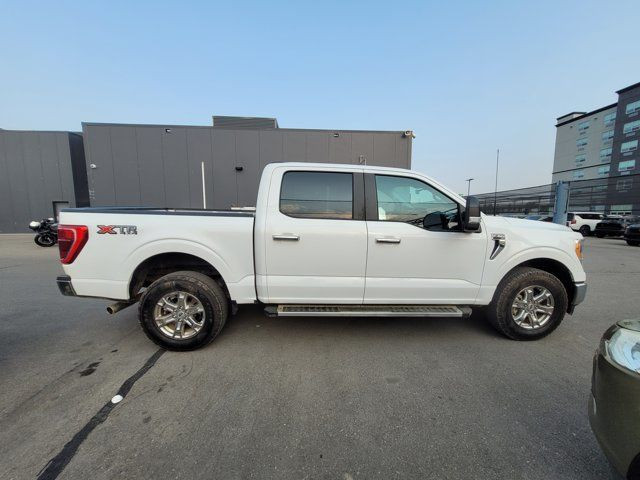 2023 Ford F-150 XL in Cars & Trucks in Calgary - Image 4