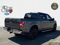 - ONE OWNER - 5.0L V8 ENGINE - CLOTH SEATS - TRAILER TOW PKG - PRE-COLLISION ASSIST w/AEB - BACK UP... (image 5)
