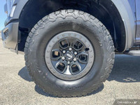 Check out this 2023 Ford F-150 Raptor before it's too late! *Get Your Money's Worth for this Ford F-... (image 8)