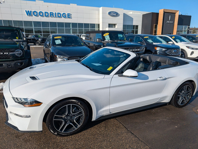 2021 Ford Mustang EcoBoost Premium *PRICE REDUCED* 2.3L CONVE... in Cars & Trucks in Calgary
