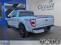 Le Ford F-150 Lariat Hybride 2023 impressionne avec sa capacité de remorquage robuste et sa génératr... (image 4)