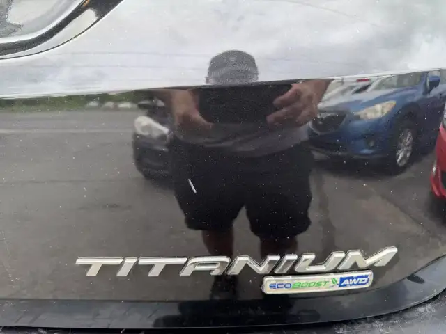 2015 FORD Edge Titanium62863213771137124