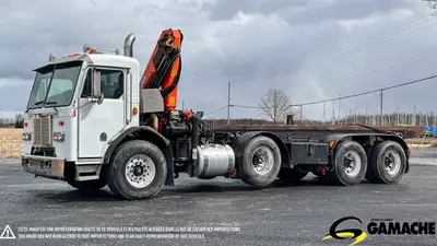 Heavy truck - # STOCK: C-36090 2009 PETERBILT 320 CAMION PORTE CONTENEUR AVEC GRUE PALFINGER 2009 PE...