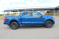 Every pre-owned vehicle from Big M Ford Lincoln comes with a full inspection, a free car proof vehic... (image 5)