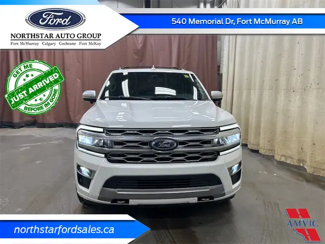 2022 Ford Expedition Platinum - Leather Seats in Cars & Trucks in Fort McMurray - Image 9