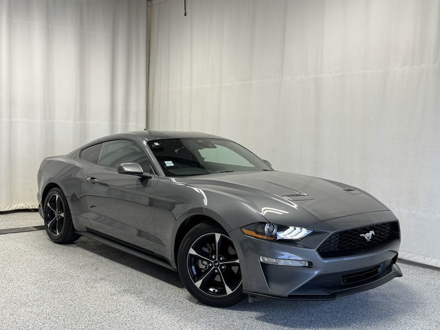 2022 Ford Mustang Ecoboost - NAV, Backup Camera, Cruise Control, in Cars & Trucks in Strathcona County - Image 2