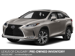 2020 Lexus RX Other