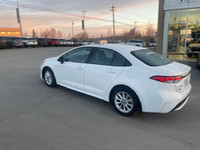 2021 Toyota Corolla Super White CVT 1.8L 4-Cylinder DOHC 16V At our Ford dealership, we take pride i... (image 3)