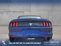 Thanks for viewing our Cam Clark Ford Inventory! Why buy from Cam Clark Ford Red Deer? It’s simple.... (image 5)